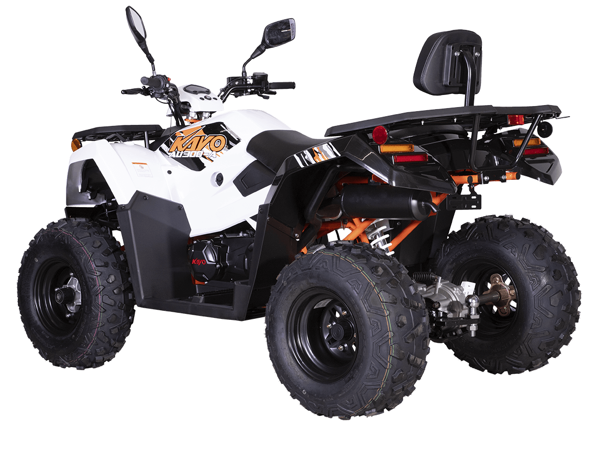 6ilgt3s7ns693y8b722wh01l3rfkgy39 1